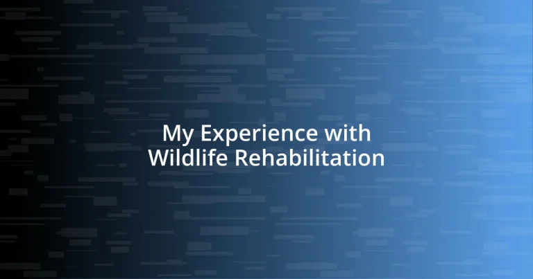 My Experience with Wildlife Rehabilitation