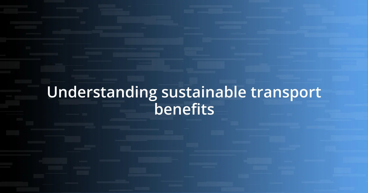 Understanding sustainable transport benefits