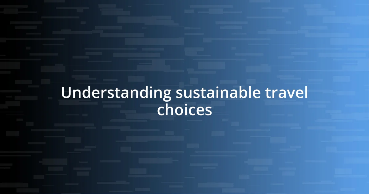 Understanding sustainable travel choices