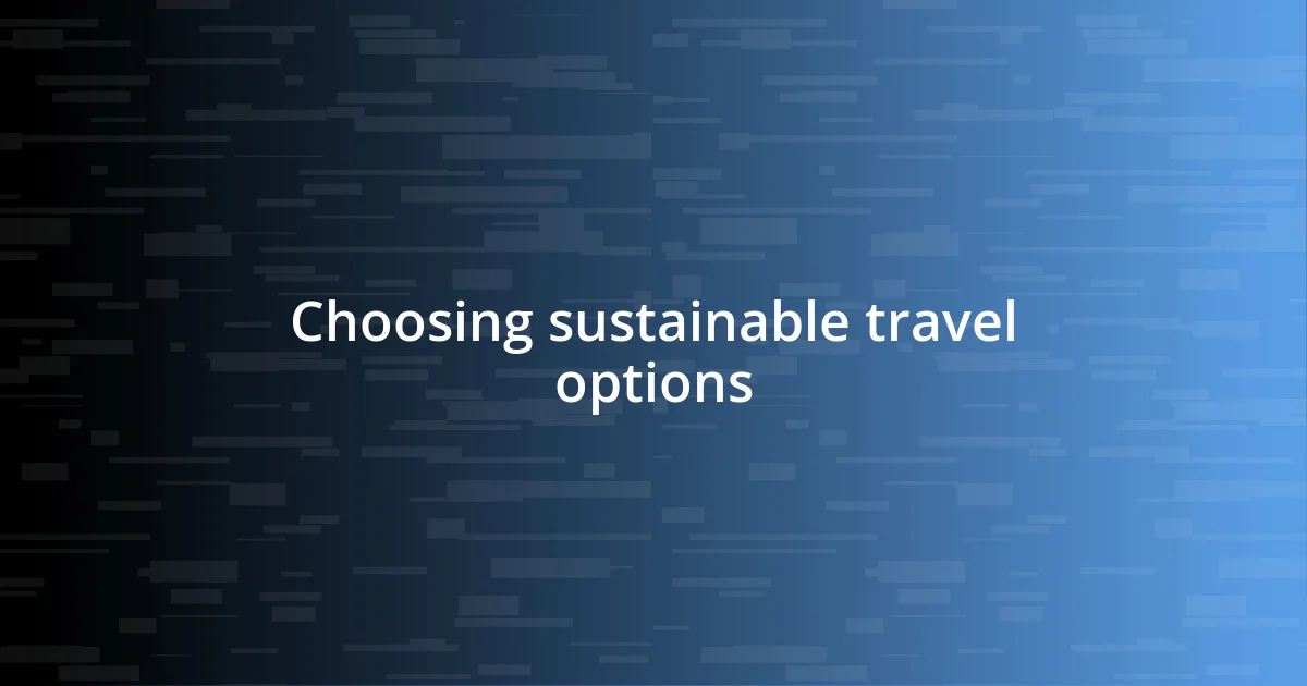 Choosing sustainable travel options